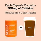 Metabolism + Probiotic Support Capsules
